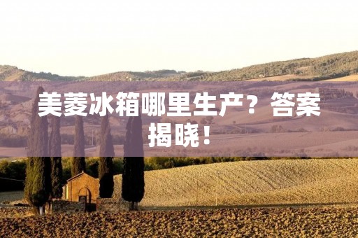 美菱冰箱哪里生产？答案揭晓！