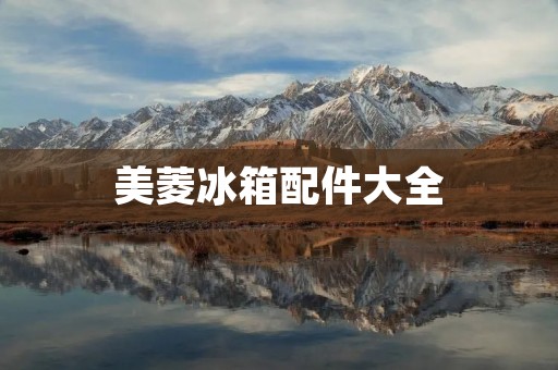美菱冰箱配件大全：全面解析美菱冰箱的配件种类及使用方法