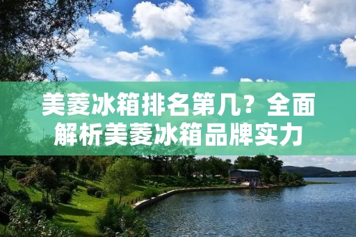 美菱冰箱排名第几？全面解析美菱冰箱品牌实力