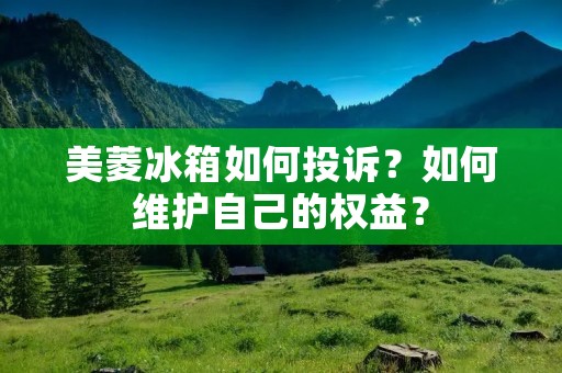 美菱冰箱如何投诉？如何维护自己的权益？