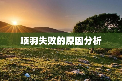 项羽失败的原因分析