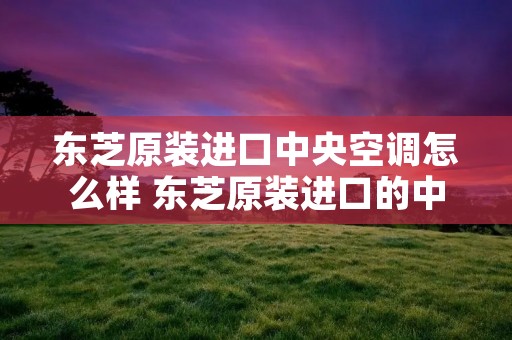 东芝原装进口中央空调怎么样 东芝原装进口的中央空调型号