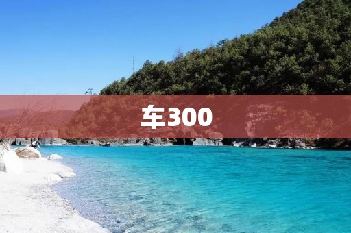 车300：一款经济实用的城市代步工具