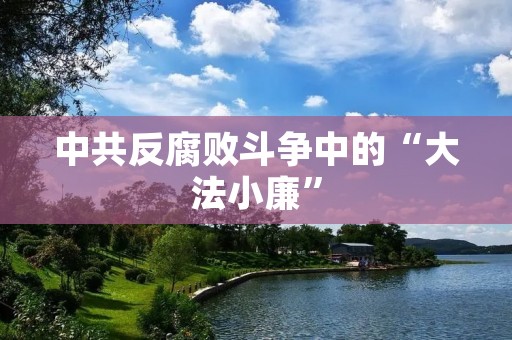 中共反**斗争中的“**小廉”