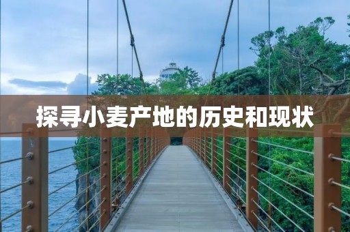 探寻小麦产地的历史和现状