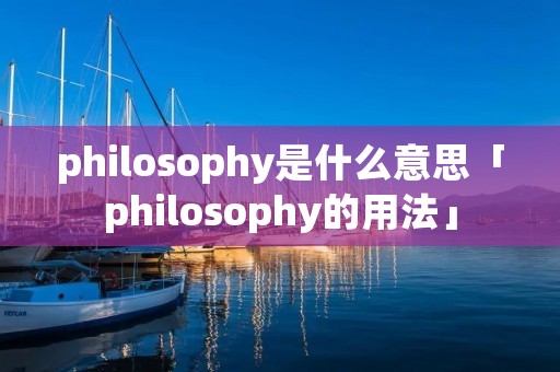 philosophy是什么意思「philosophy的用法」