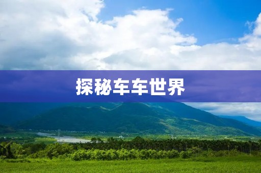 探秘车车世界：汽车文化的多元化