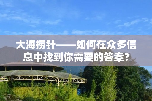 大海捞针——如何在众多信息中找到你需要的答案? 大海捞针——如何在众多信息中找到你需要的答案?