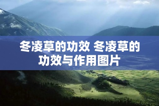冬凌草的功效 冬凌草的功效与作用图片