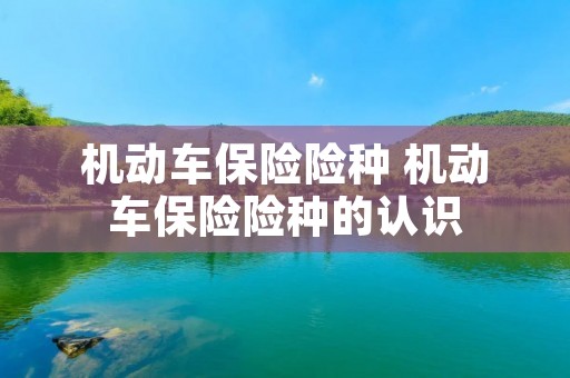 机动车保险险种 机动车保险险种的认识