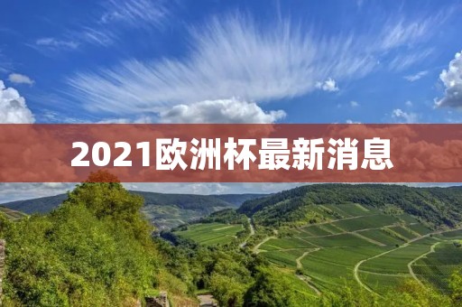 2021欧洲杯最新消息:多国队伍备战升级,赛事筹备顺利进行