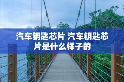 汽车钥匙芯片 汽车钥匙芯片是什么样子的