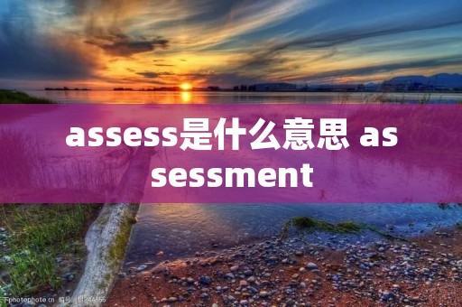 assess是什么意思 assessment