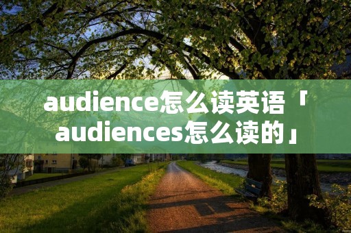 audience怎么读英语「audiences怎么读的」
