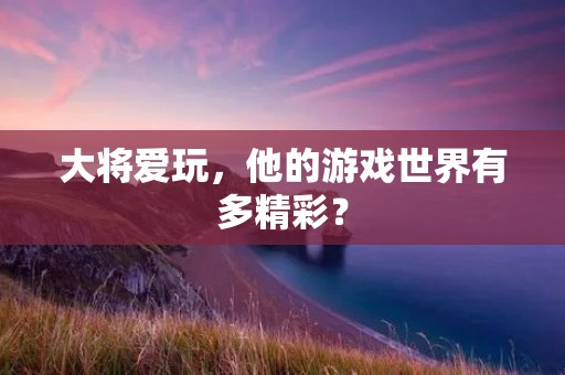 大将爱玩,他的游戏世界有多精彩? 大将爱玩,他的游戏世界有多精彩?