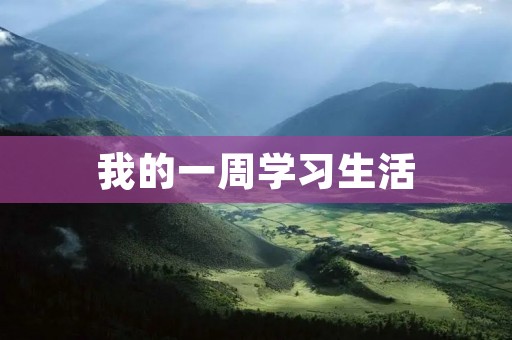 我的一周学习生活