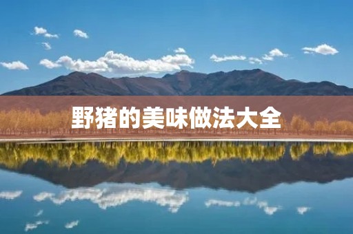 野猪的美味做法大全
