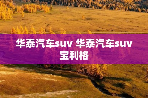 华泰汽车suv 华泰汽车suv宝利格 华泰汽车suv 华泰汽车suv宝利格