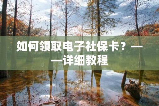 如何领取电子社保卡?——详细教程 如何领取电子社保卡?——详细教程
