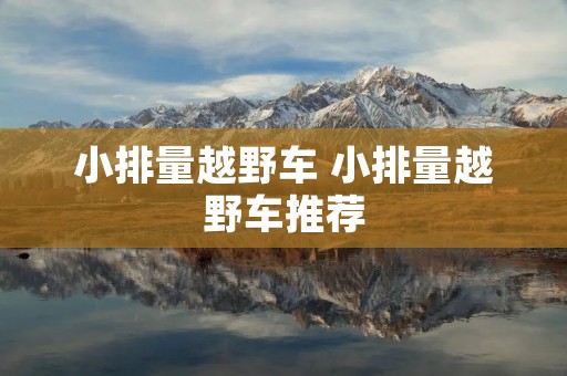小排量越野车 小排量越野车推荐