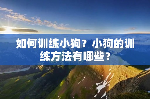 如何训练小狗？小狗的训练方法有哪些？