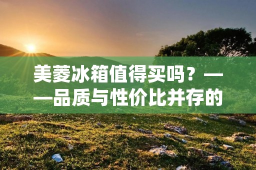 美菱冰箱值得买吗？——品质与性价比并存的不二选择