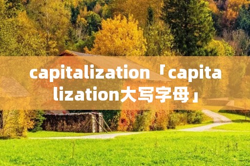capitalization「capitalization大写字母」