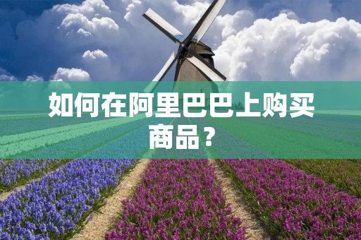 如何在阿里巴巴上购买商品？