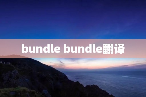 bundle bundle翻译