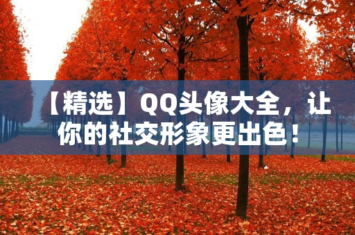 【精选】QQ头像大全,让你的社交形象更出色! 【精选】QQ头像大全,让你的社交形象更出色!