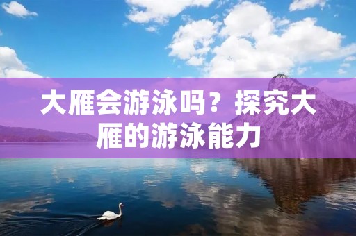 大雁会游泳吗?探究大雁的游泳能力