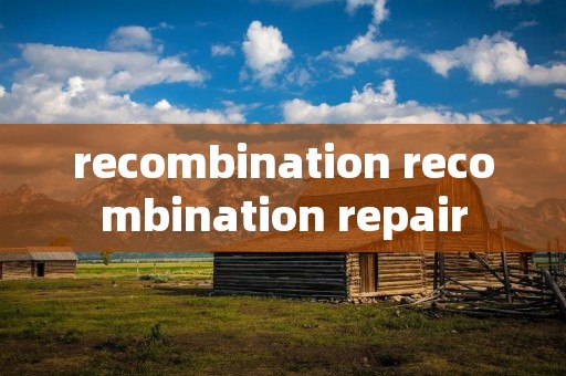 recombination recombination repair