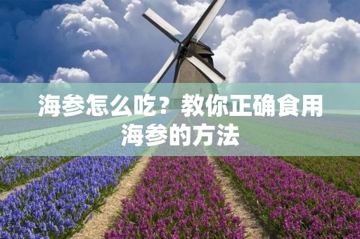 海参怎么吃?教你正确食用海参的方法 海参怎么吃?教你正确食用海参的方法