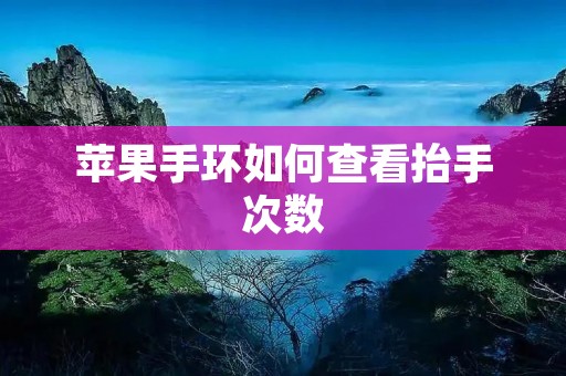 苹果手环如何查看抬手次数