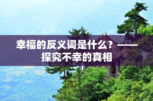 幸福的反义词是什么?——探究不幸的真相