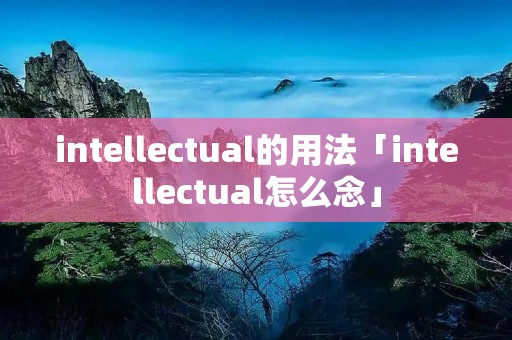 intellectual的用法「intellectual怎么念」 intellectual的用法「intellectual怎么念」
