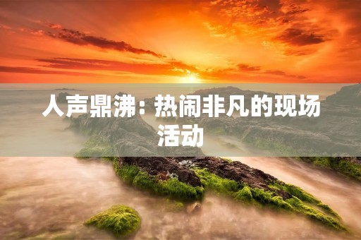 人声鼎沸: 热闹非凡的现场活动
