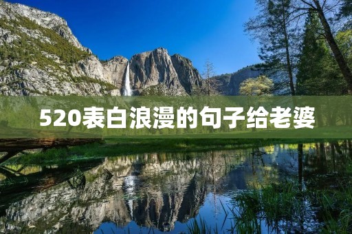 520表白浪漫的句子给老婆