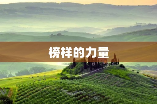 榜样的力量