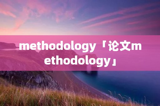 methodology「论文methodology」 methodology「论文methodology」