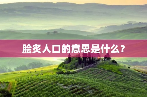 脍炙人口的意思是什么?