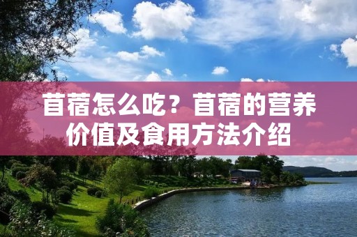 苜蓿怎么吃？苜蓿的营养价值及食用方法介绍