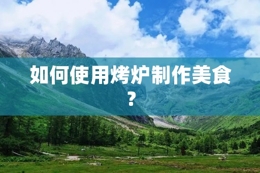 如何使用烤炉制作美食？