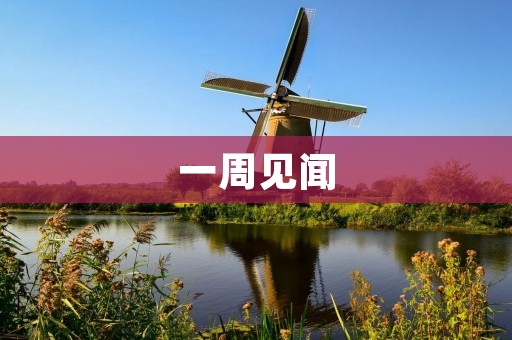 一周见闻 一周见闻