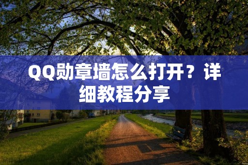 QQ勋章墙怎么打开?详细教程分享 QQ勋章墙怎么打开?详细教程分享