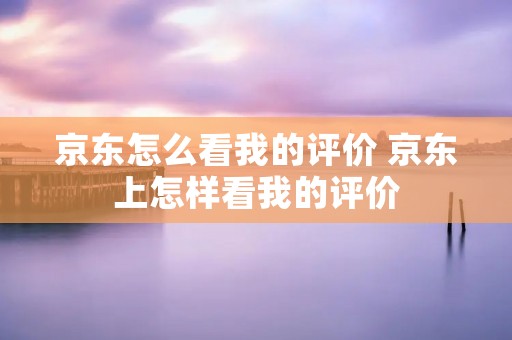 京东怎么看我的评价 京东上怎样看我的评价 京东怎么看我的评价 京东上怎样看我的评价