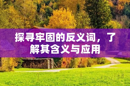 探寻牢固的反义词,了解其含义与应用