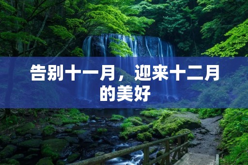 告别十一月,迎来十二月的美好