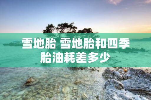雪地胎 雪地胎和四季胎油耗差多少