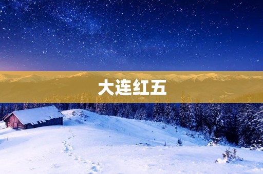 大连红五:中国最具代表性的舞蹈团体 大连红五:中国最具代表性的舞蹈团体